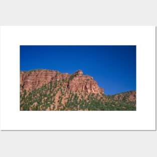 Blue Sky, Red Rocks, Evergreens Posters and Art